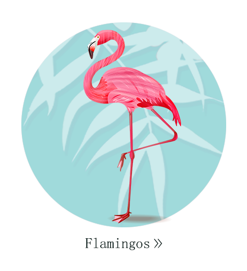 FLAMINGO