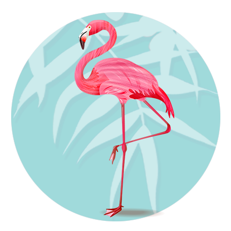 Tilami Brand Collection